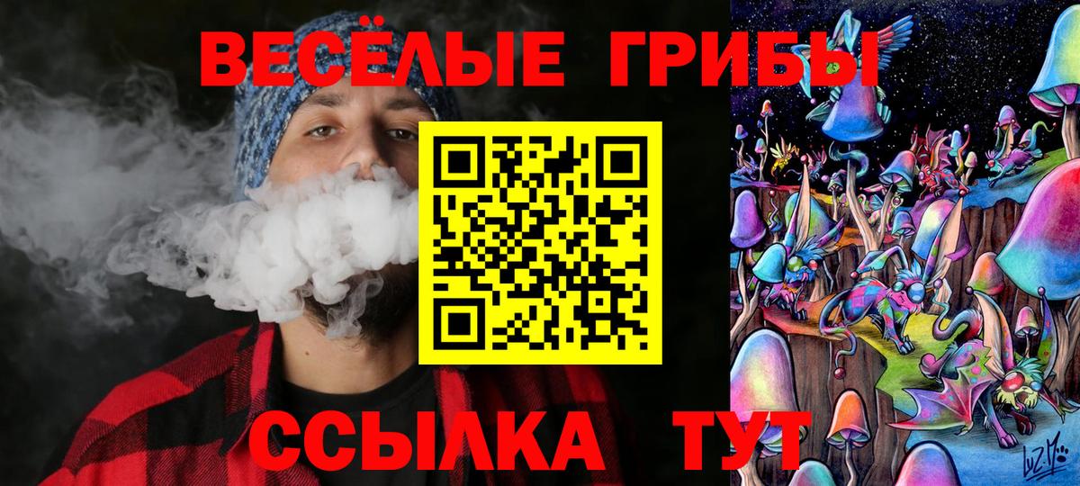 Чистополь  Галлюциногенные грибы мицелий  Вход с VPN  Псилоцибиновые грибы ЛСД 